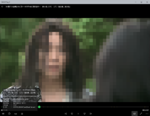 DiXiM Play U Windows版