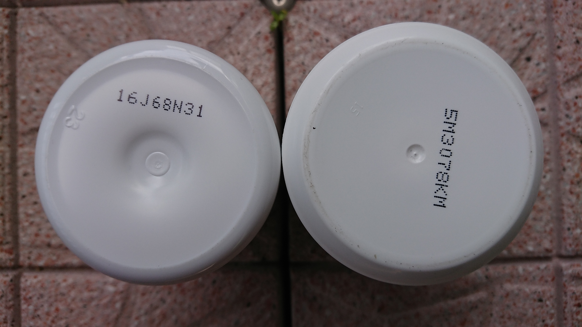 底面 左:明治、右:ロッテ