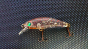 月下美人 夜霧Z 42F