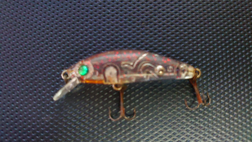 月下美人 夜霧Z 42F