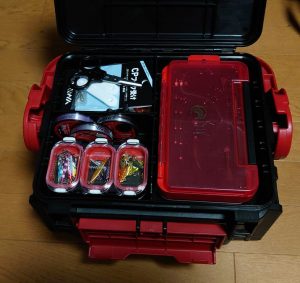 TB3000 月下美人 ジグヘッドケース W