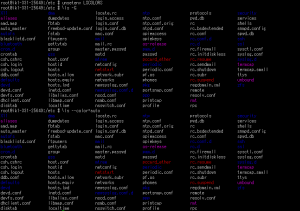FreeBSD LSCOLORS defaultカラー