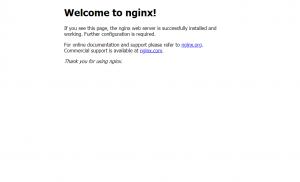 nginx